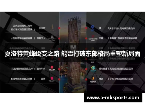夏洛特黄蜂蜕变之路 能否打破东部格局重塑新局面