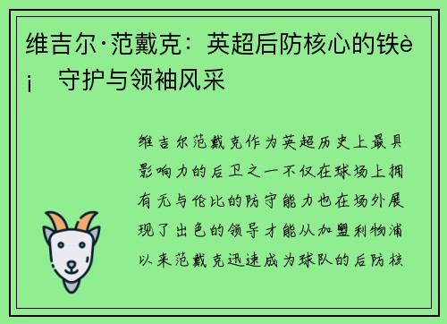 维吉尔·范戴克：英超后防核心的铁血守护与领袖风采