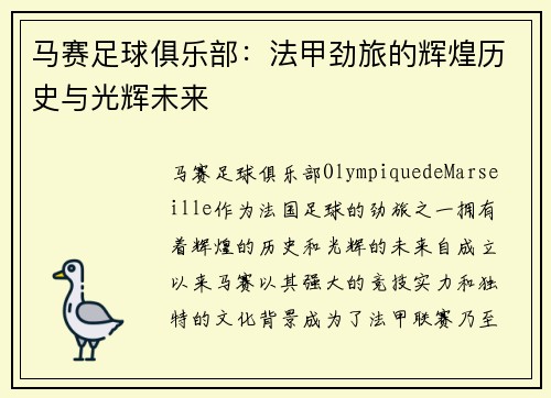 马赛足球俱乐部：法甲劲旅的辉煌历史与光辉未来