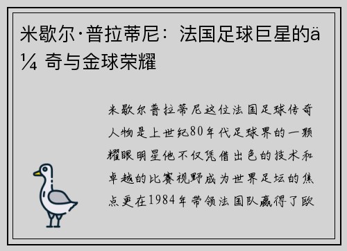米歇尔·普拉蒂尼：法国足球巨星的传奇与金球荣耀